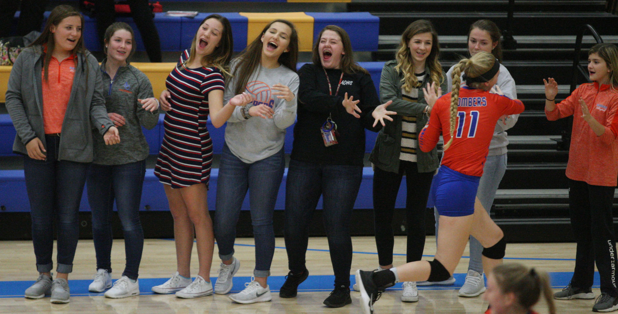 FBP AO vs WL volleyball 1 10.23.17.jpg